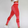 Load image into Gallery viewer, Performance Seamless Leggings - KOR Fitness